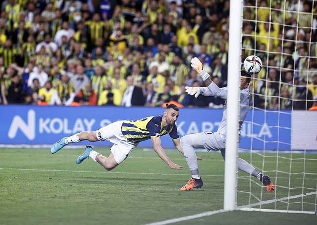 西部最新排 西部最新排