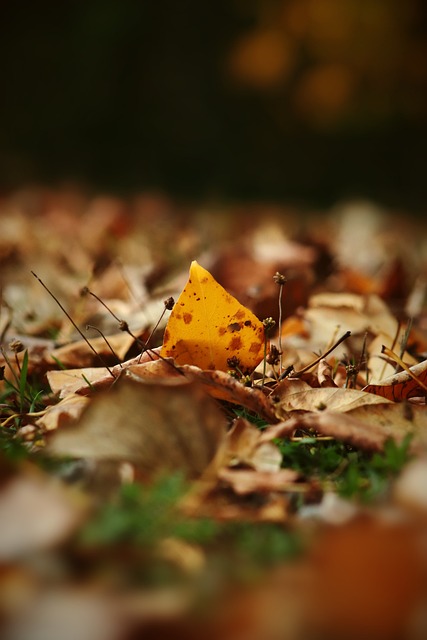 杆制胜局 杆制胜局