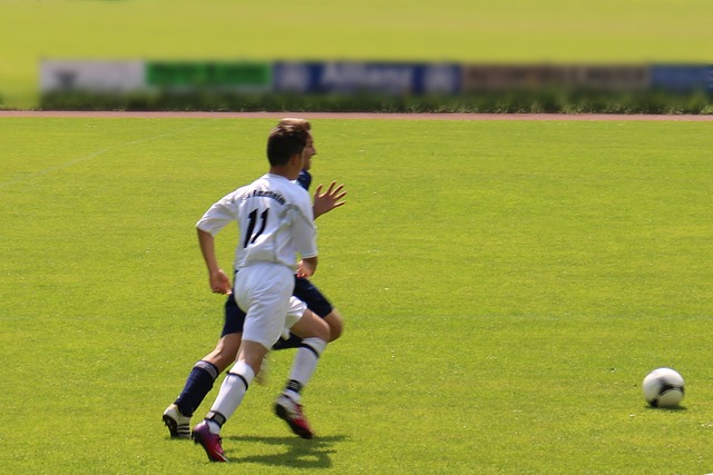 条款无疑是 条款无疑是