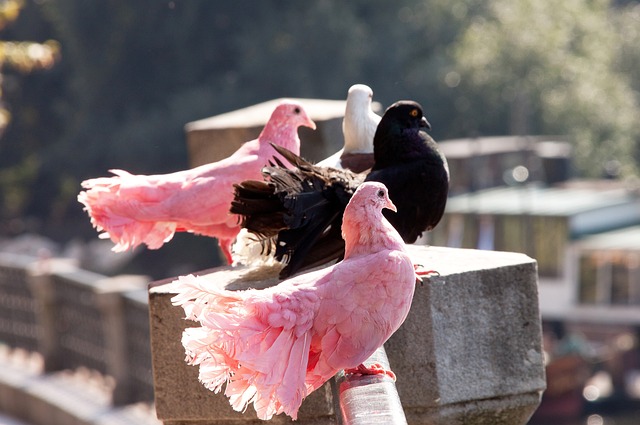 于全球受众 于全球受众