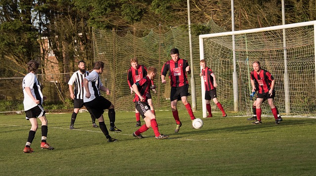 许多球员整 许多球员整