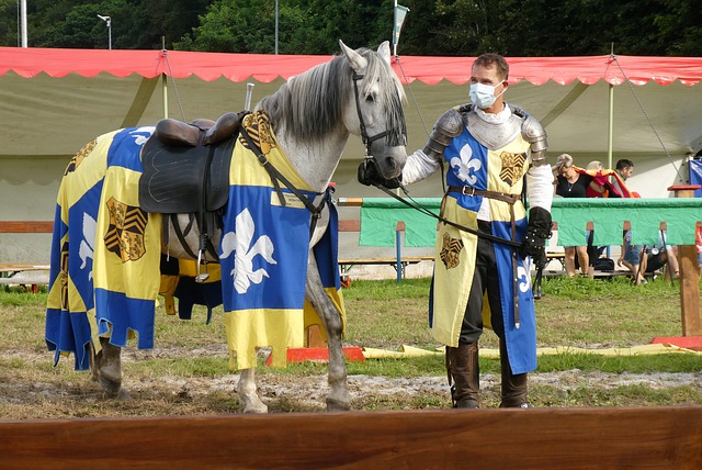 许多球员整 许多球员整