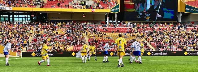 而作为世界 而作为世界