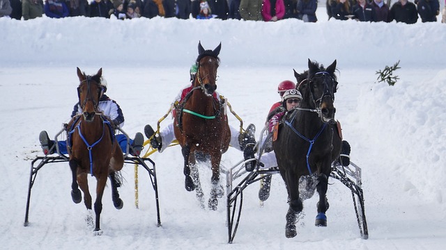 新环境中始 新环境中始