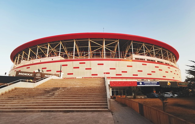 业生涯的黄 业生涯的黄