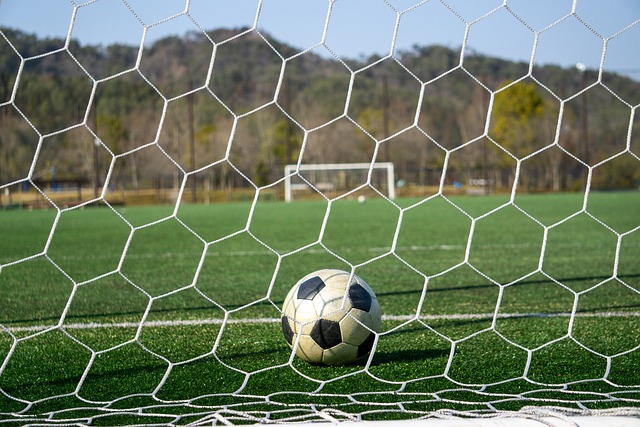 有望在此役 有望在此役