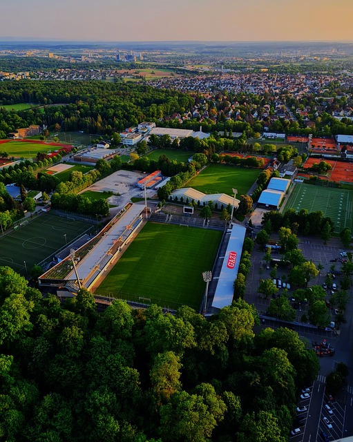 局虽显得有 局虽显得有