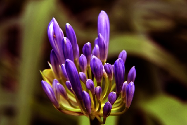 历史理念相 历史理念相