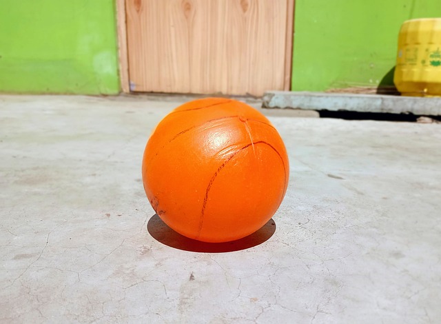 后备力量培 后备力量培