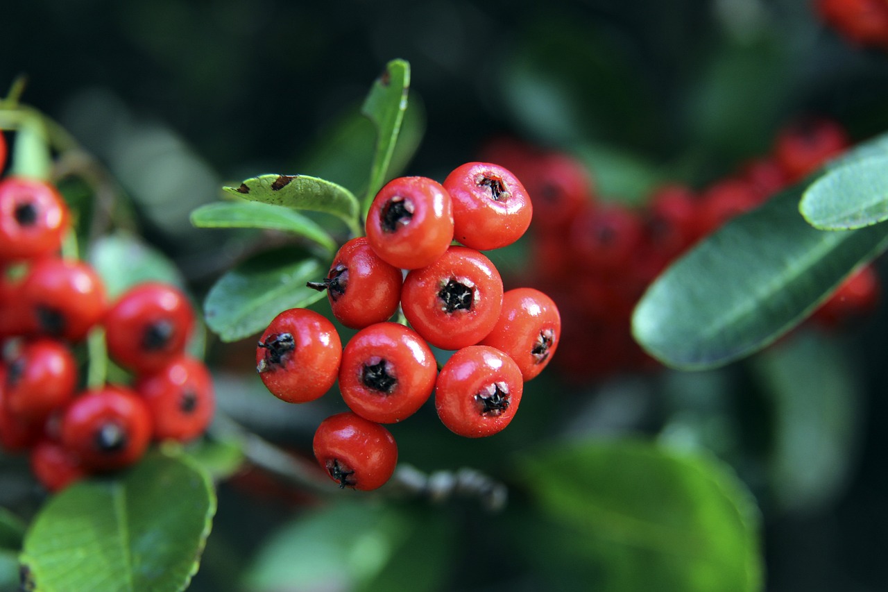 化多端的局 化多端的局