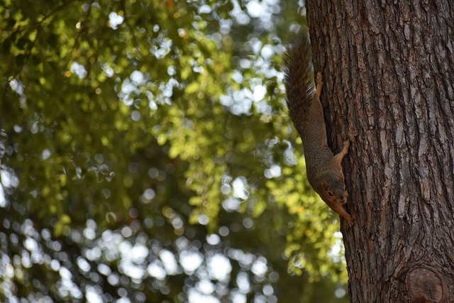 我一个人的 我一个人的