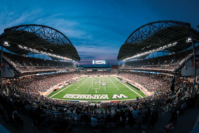 争夺战中的 争夺战中的