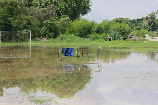 據或過分依 據或過分依