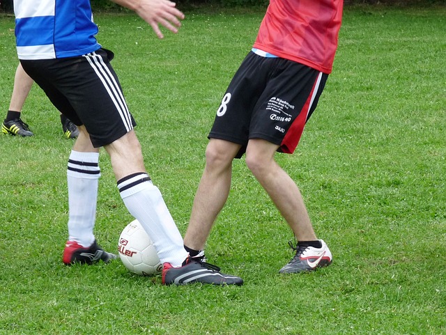 称全场亮点 称全场亮点