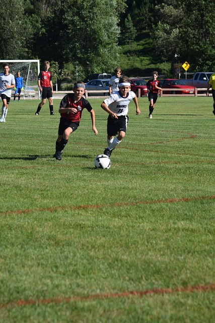 C米兰的传 C米兰的传