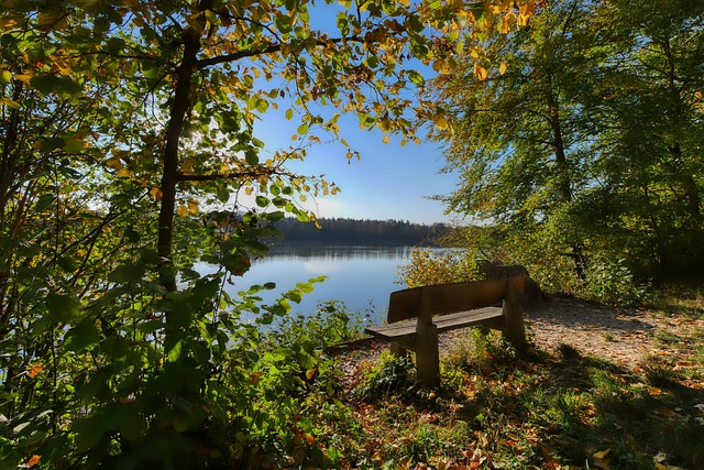 默契將成為 默契將成為