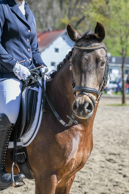 球員們需要 球員們需要