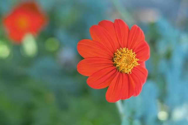 客队的强强 客队的强强