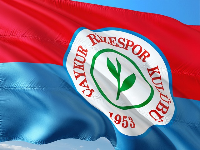 湾区传奇 湾区传奇