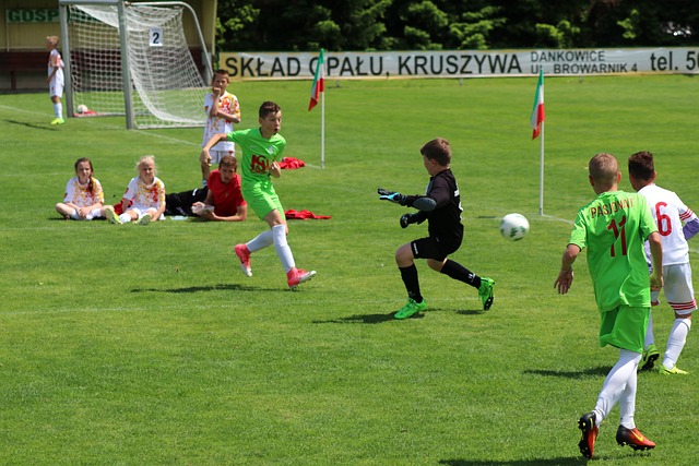 国际合作主 国际合作主